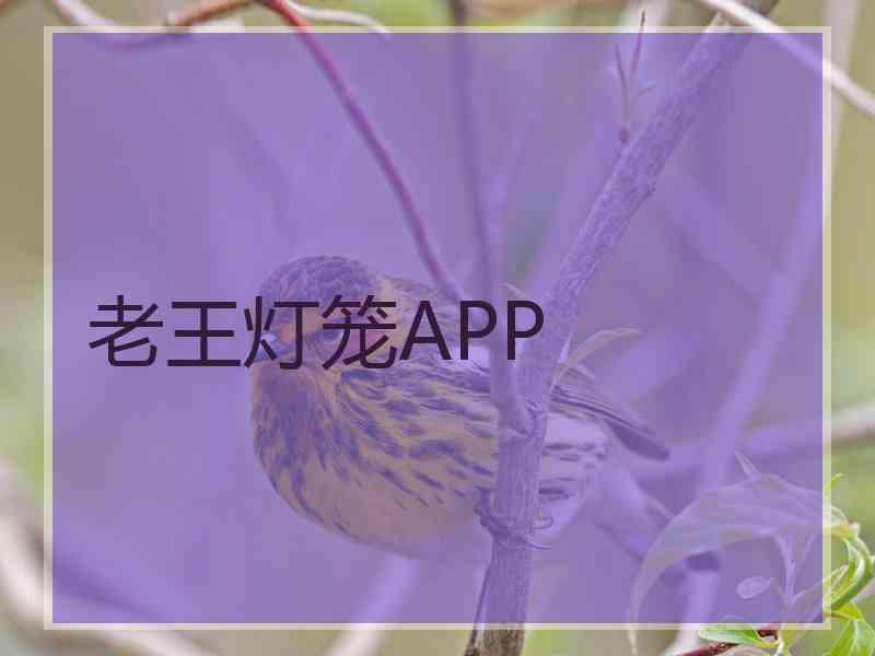 老王灯笼APP