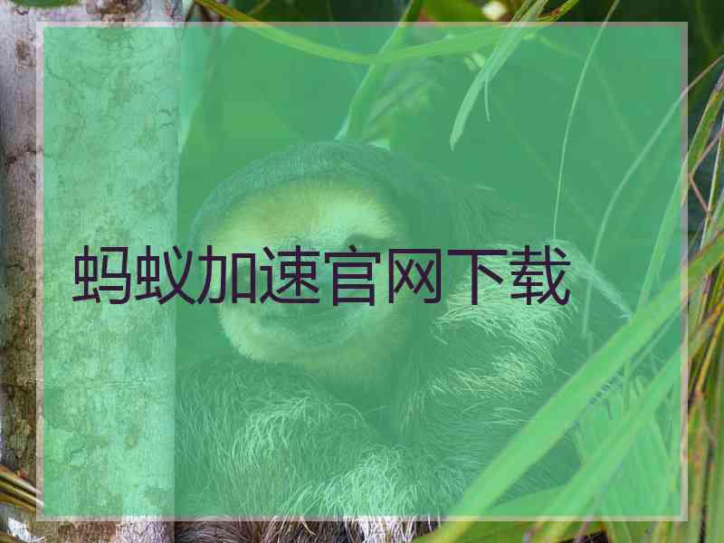 蚂蚁加速官网下载