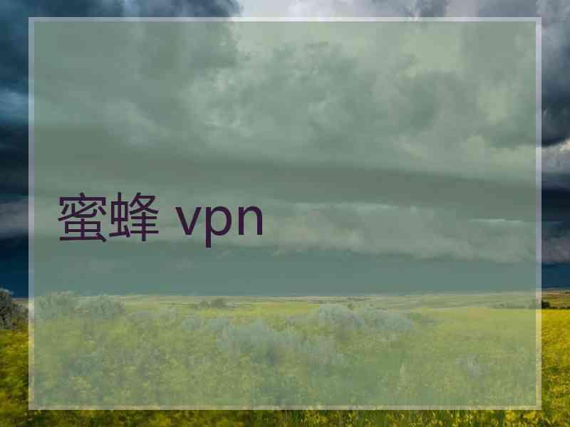 蜜蜂 vpn