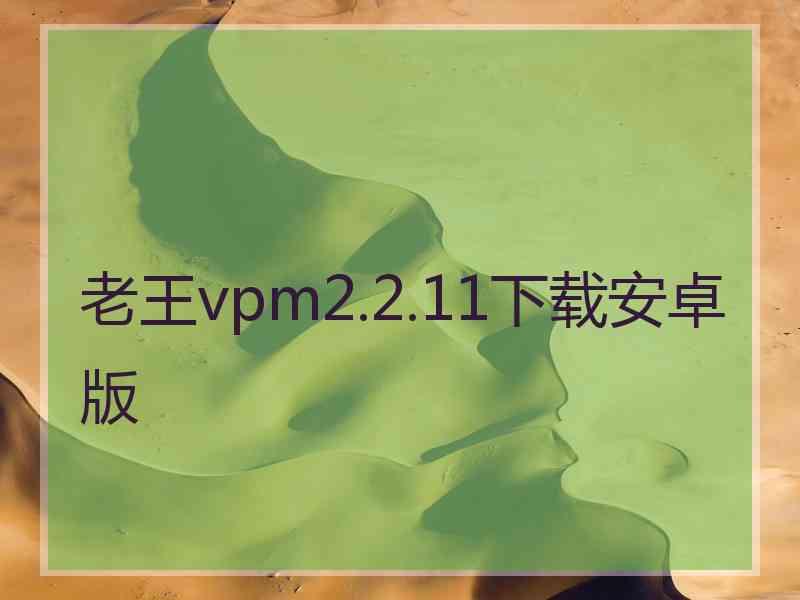 老王vpm2.2.11下载安卓版