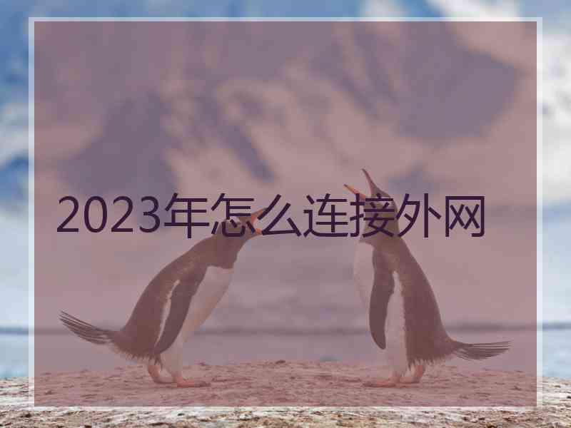 2023年怎么连接外网