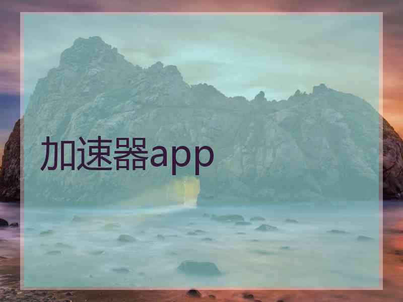 加速器app