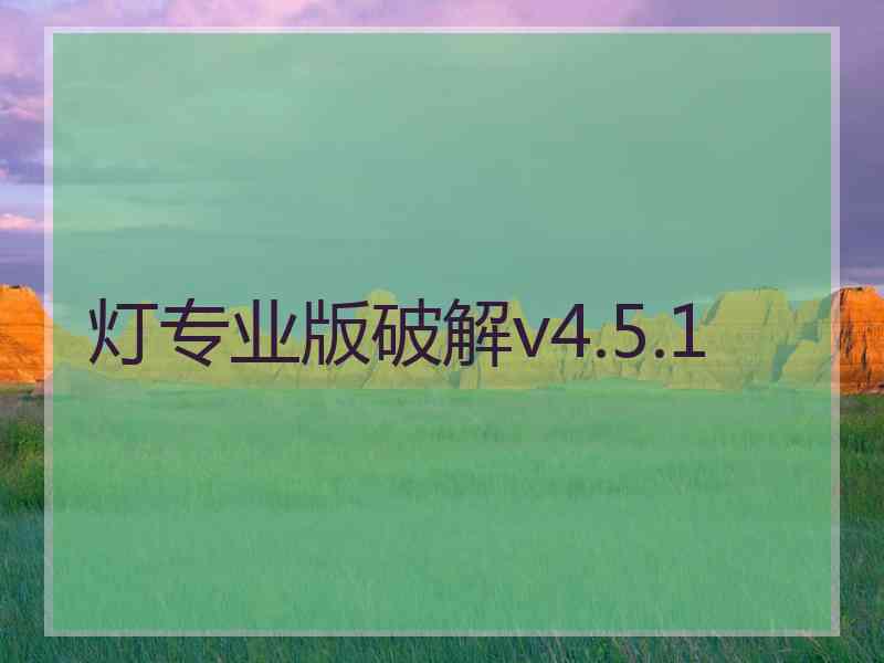 灯专业版破解v4.5.1