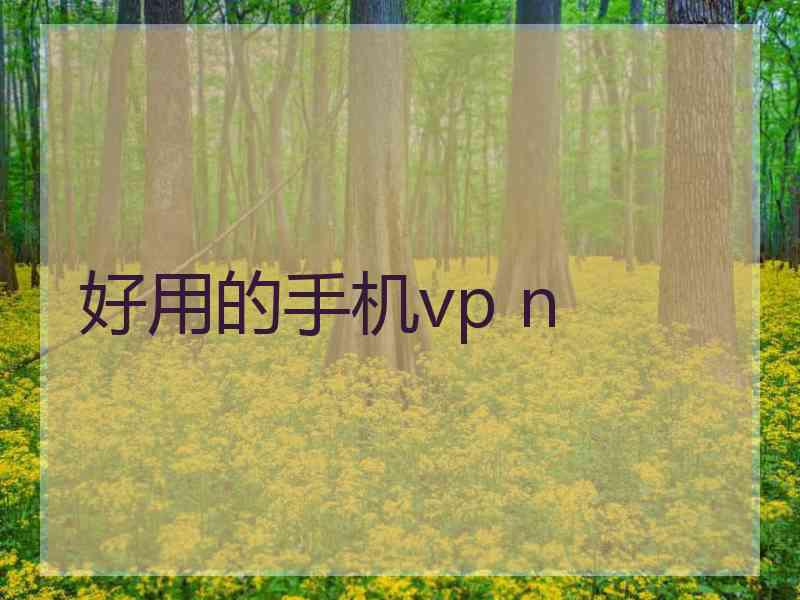 好用的手机vp n