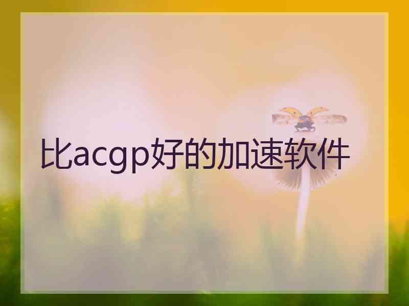 比acgp好的加速软件