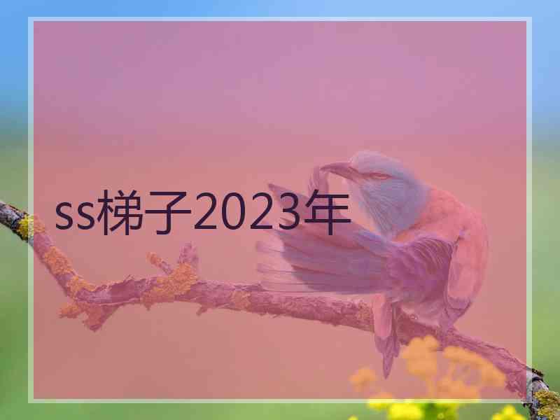 ss梯子2023年