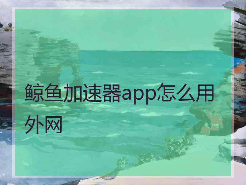 鲸鱼加速器app怎么用外网