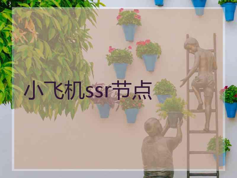 小飞机ssr节点