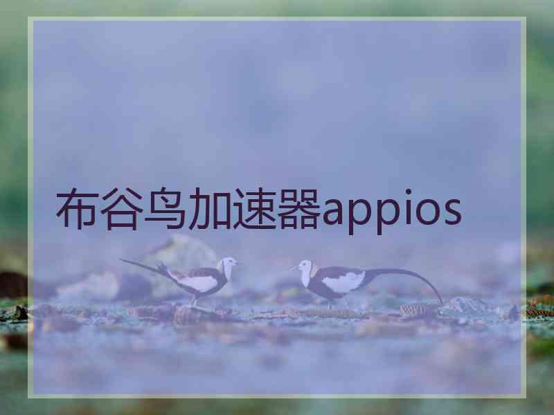 布谷鸟加速器appios