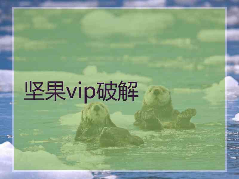 坚果vip破解