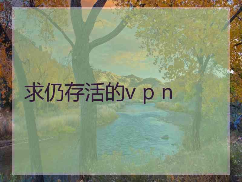 求仍存活的v p n