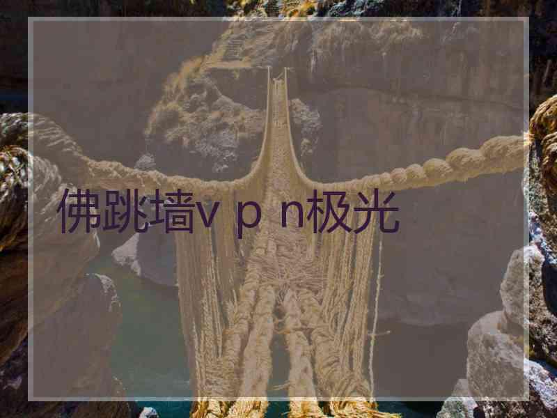 佛跳墙v p n极光