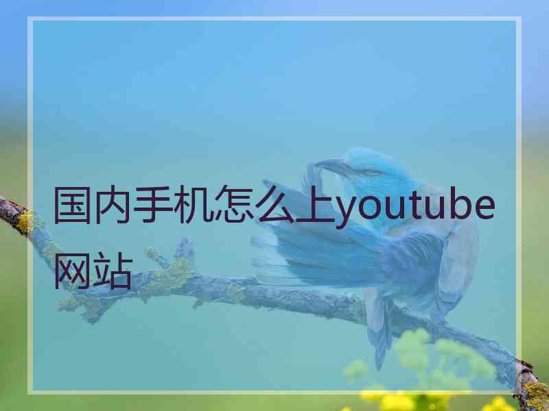 国内手机怎么上youtube网站