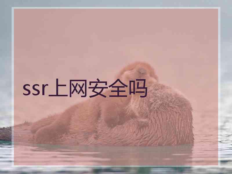 ssr上网安全吗