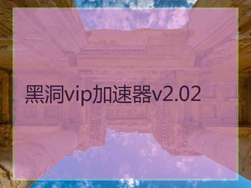 黑洞vip加速器v2.02