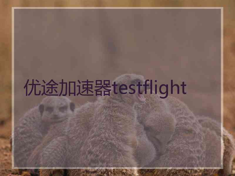 优途加速器testflight