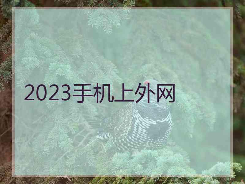 2023手机上外网