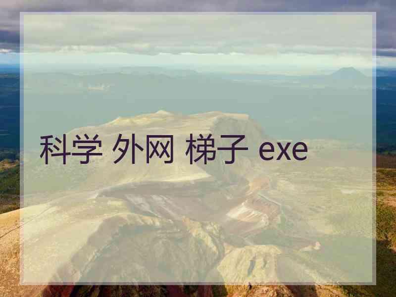 科学 外网 梯子 exe