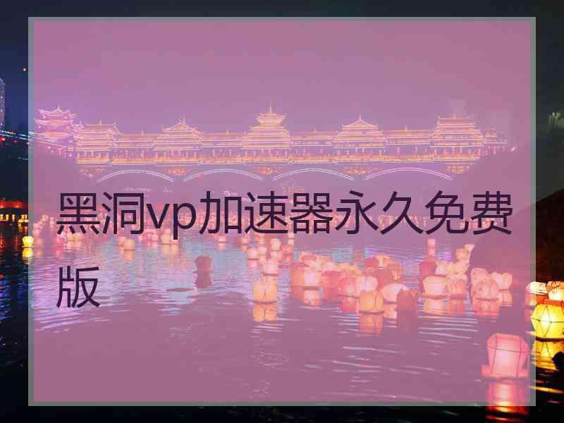 黑洞vp加速器永久免费版