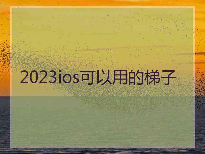 2023ios可以用的梯子