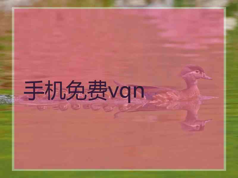 手机免费vqn