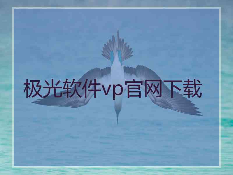 极光软件vp官网下载