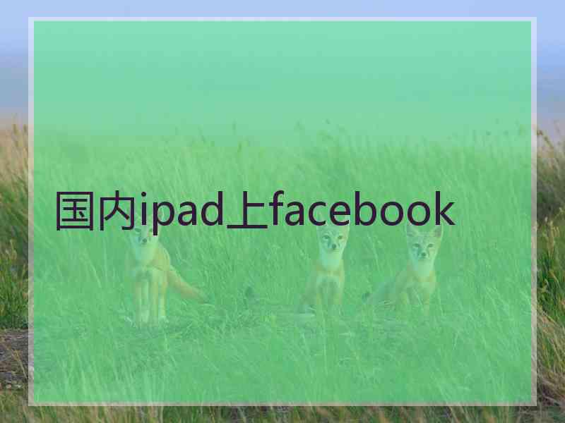 国内ipad上facebook