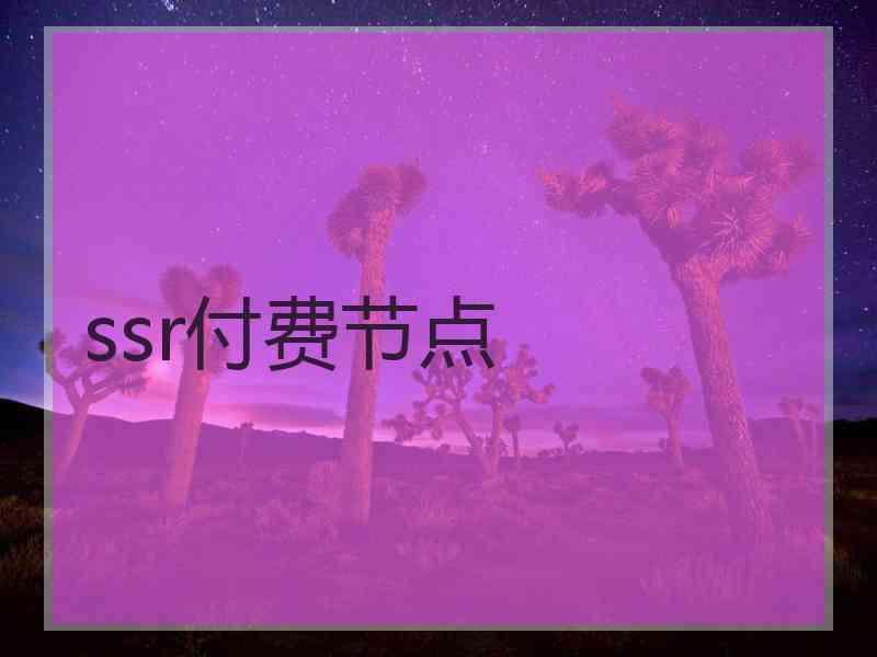 ssr付费节点