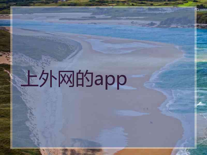 上外网的app