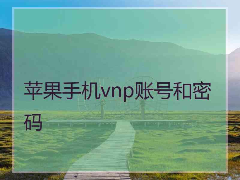 苹果手机vnp账号和密码