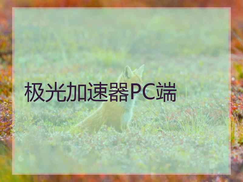 极光加速器PC端