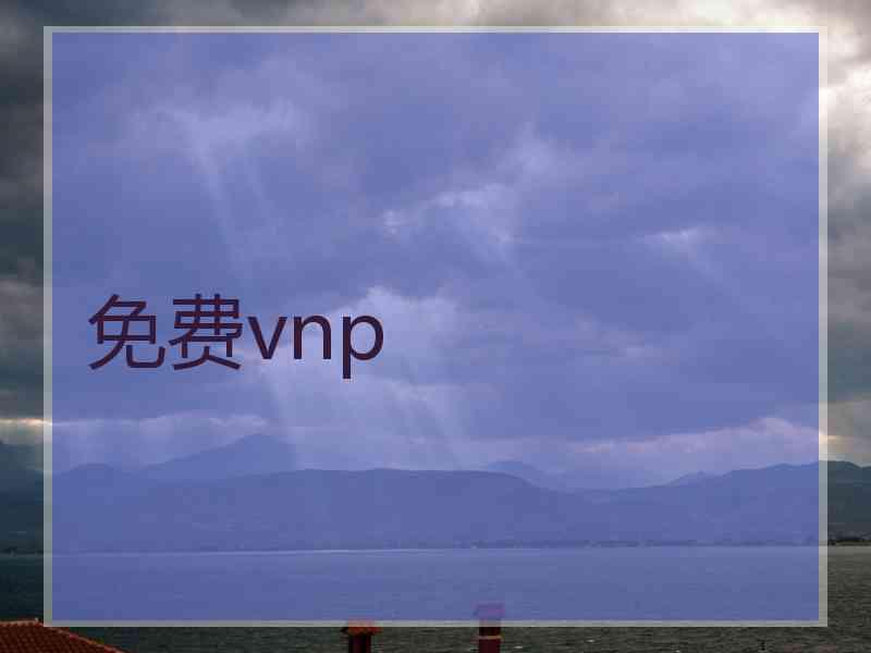 免费vnp