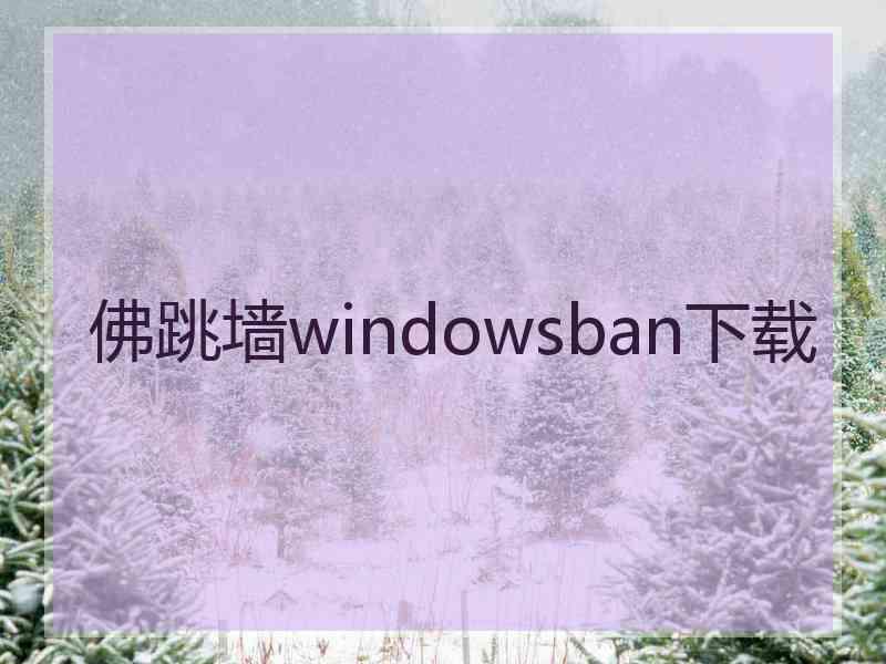 佛跳墙windowsban下载