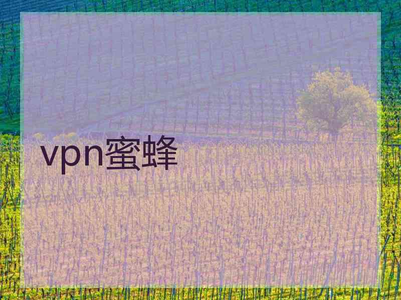 vpn蜜蜂