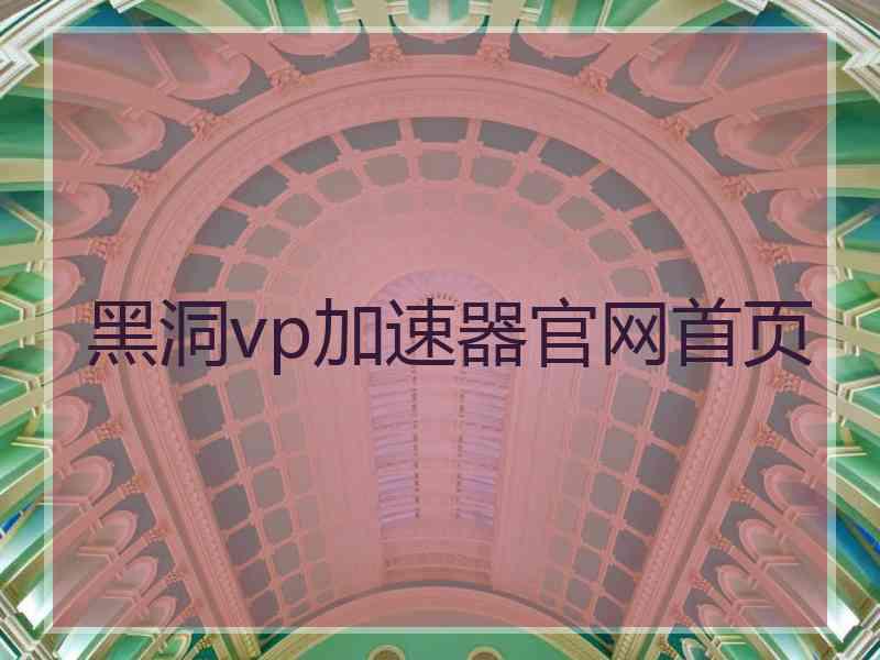 黑洞vp加速器官网首页