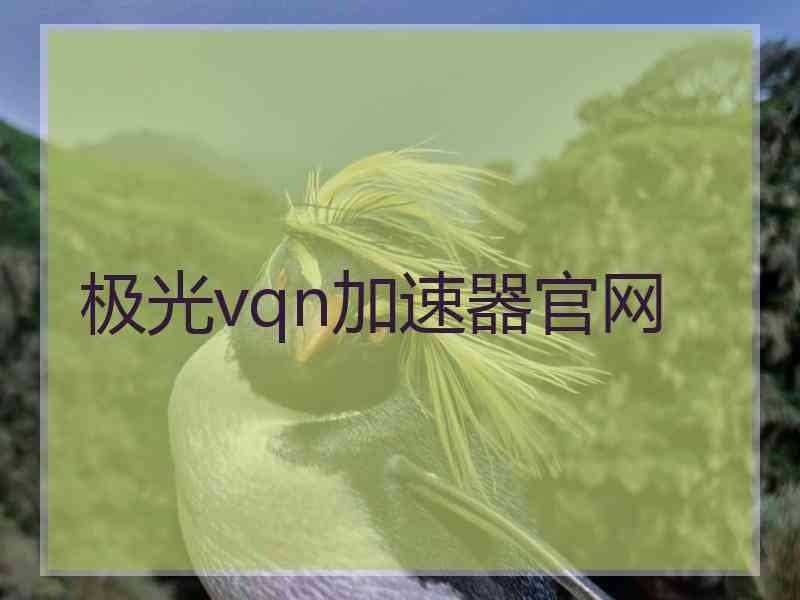 极光vqn加速器官网