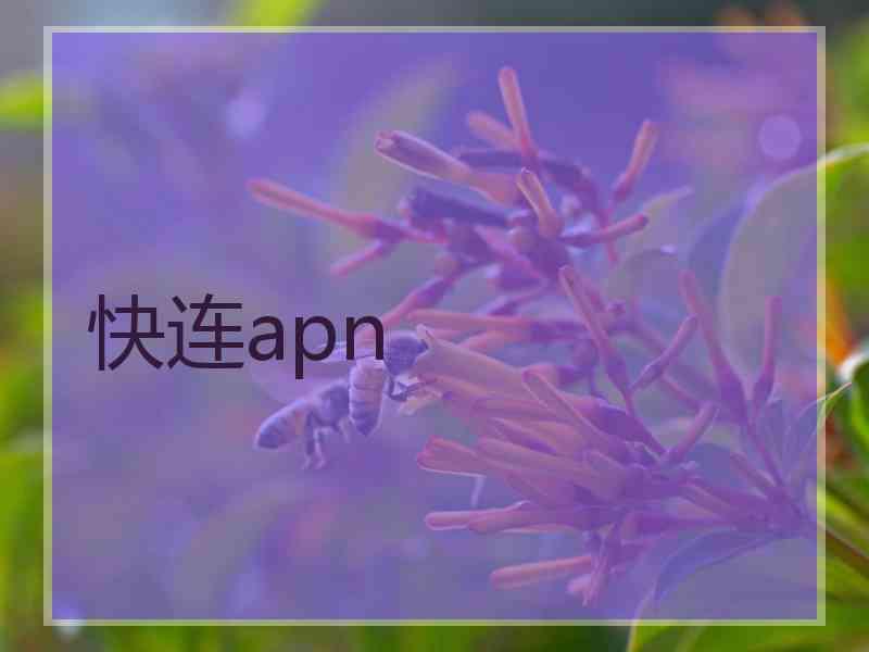 快连apn