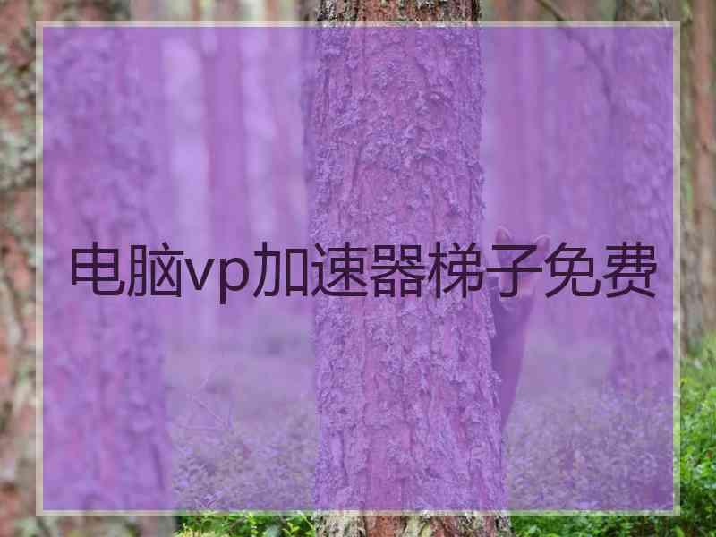 电脑vp加速器梯子免费