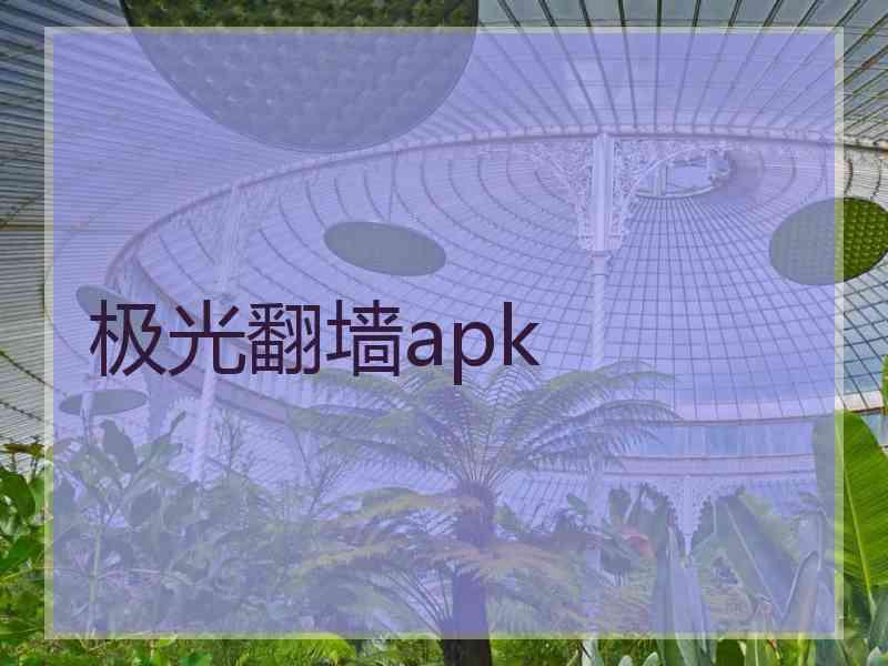 极光翻墙apk