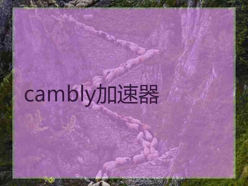 cambly加速器