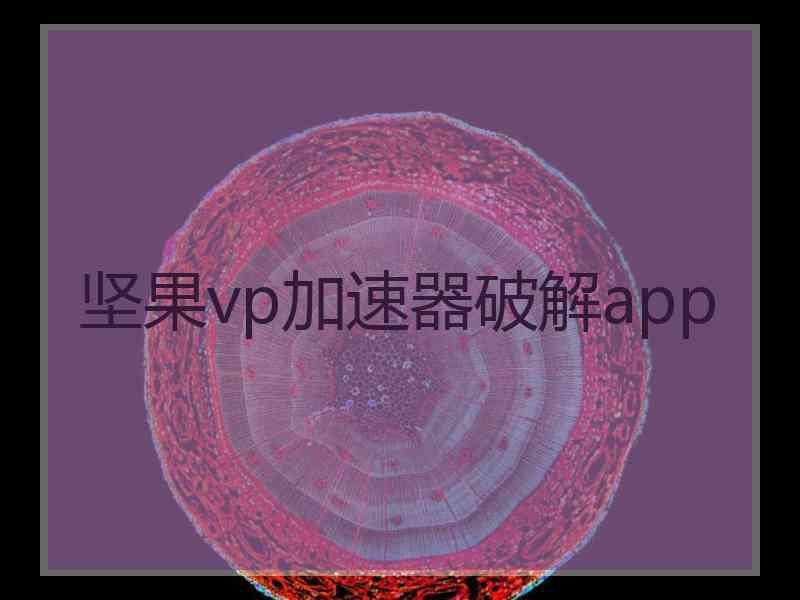 坚果vp加速器破解app