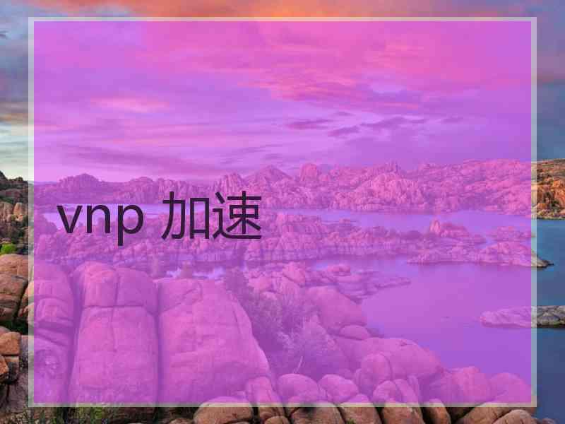 vnp 加速