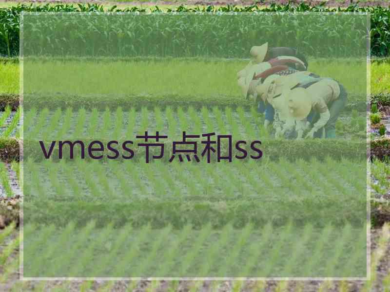 vmess节点和ss