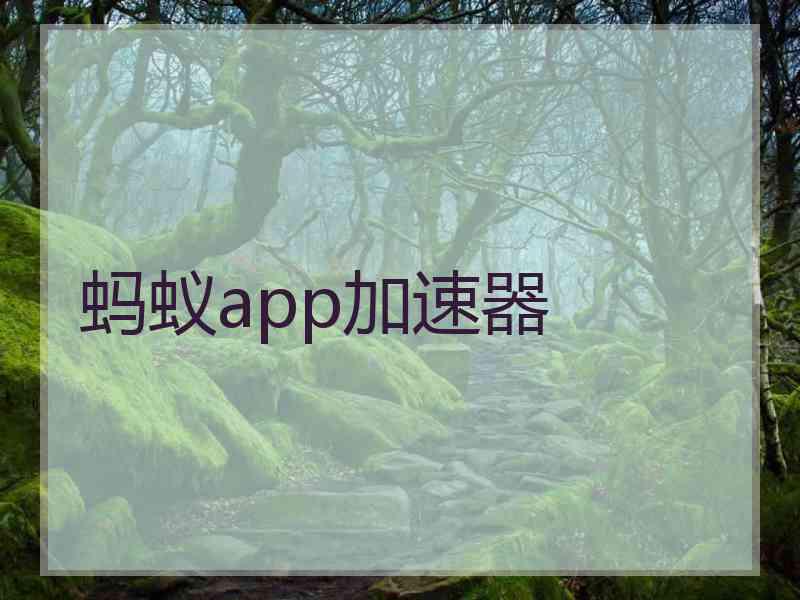 蚂蚁app加速器