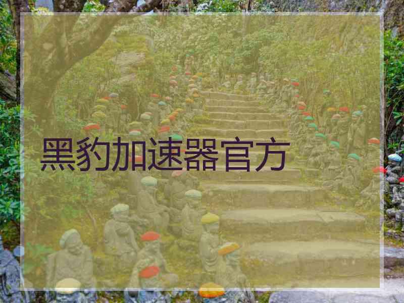 黑豹加速器官方