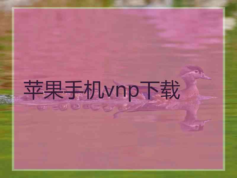 苹果手机vnp下载