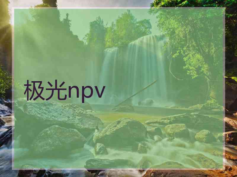 极光npv