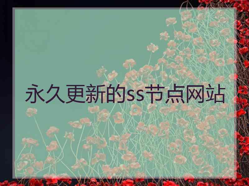 永久更新的ss节点网站