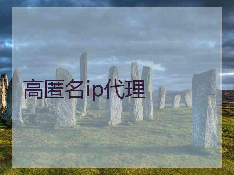 高匿名ip代理