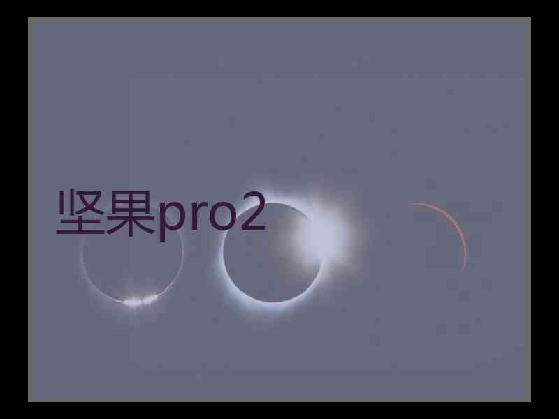 坚果pro2